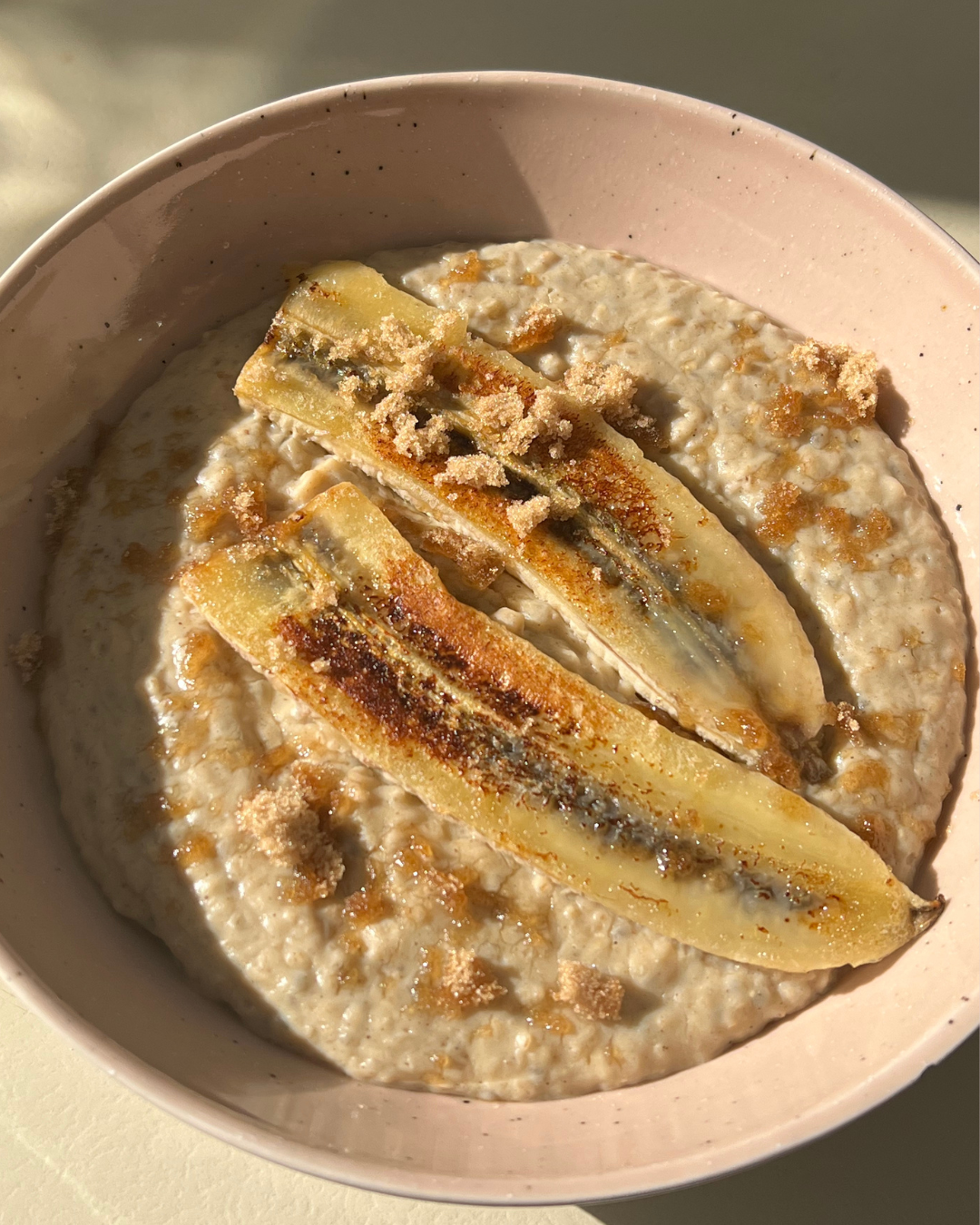 Probiotic Protein Porridge