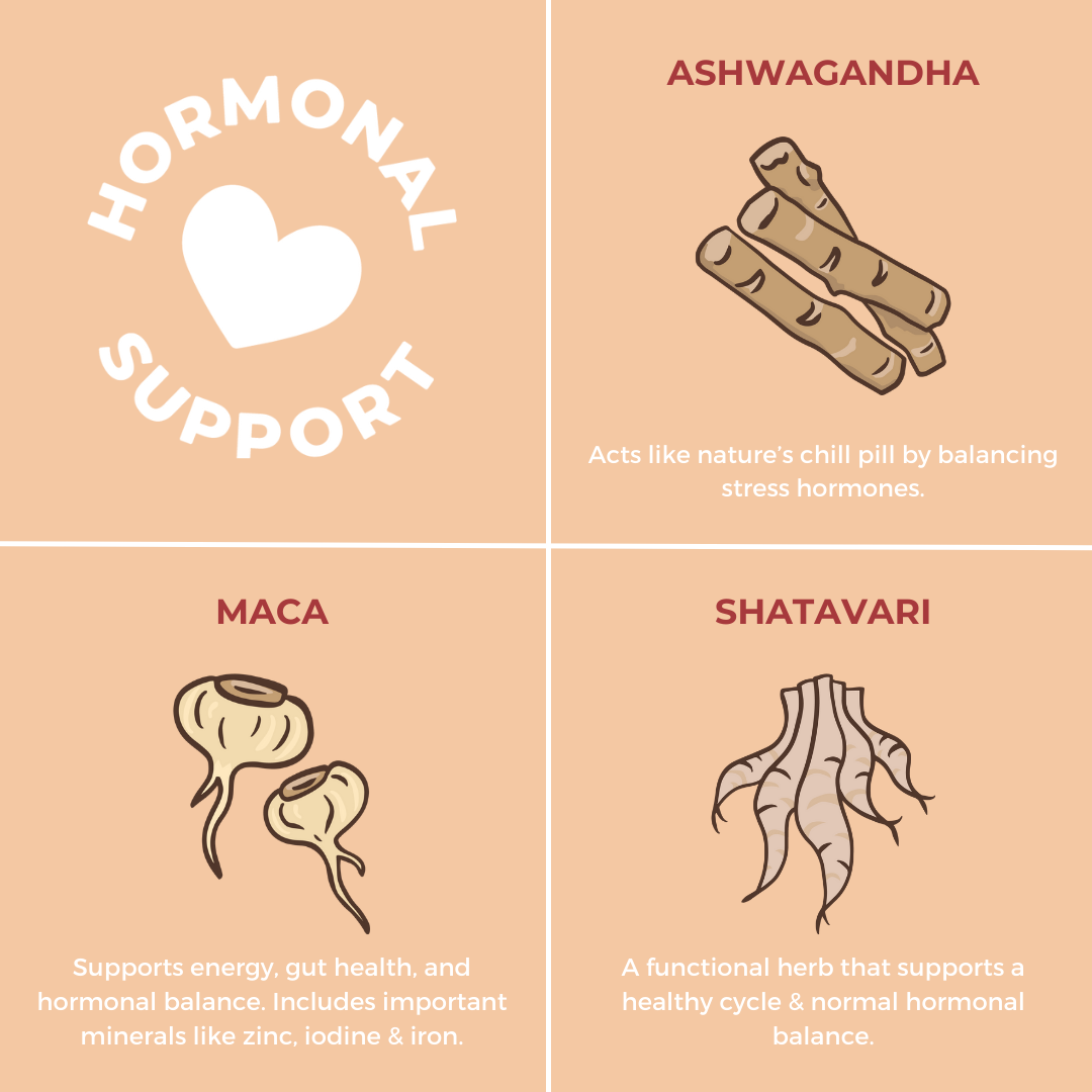 creamy caramel cookie plant-based protein