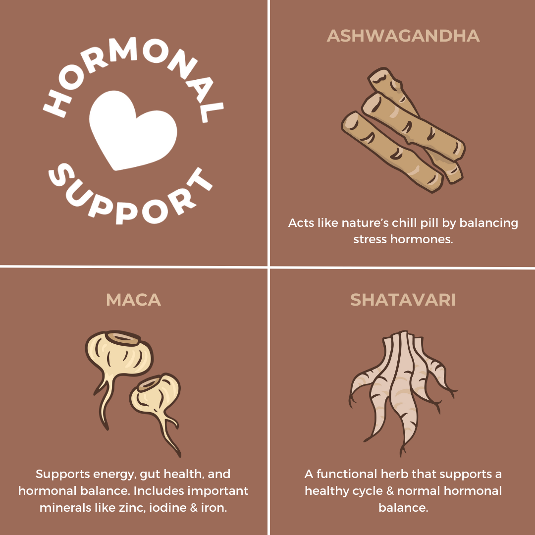 Rad Protein Chocolate