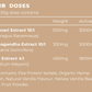 Rad Protein Vanilla