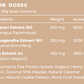 Rad Protein Caramel